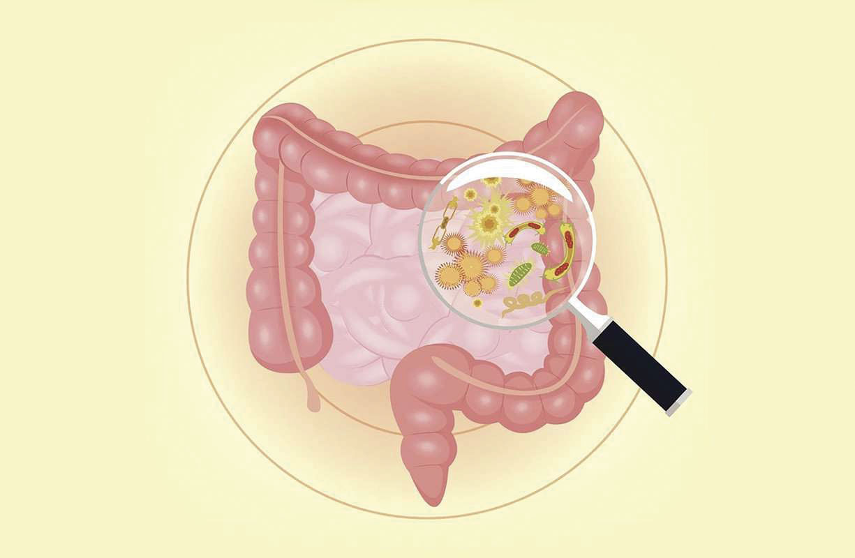 microbiota_intestinale