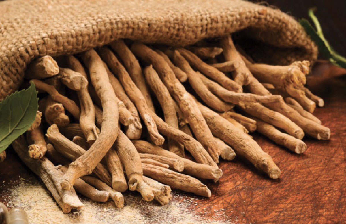 Ashwagandha-Root
