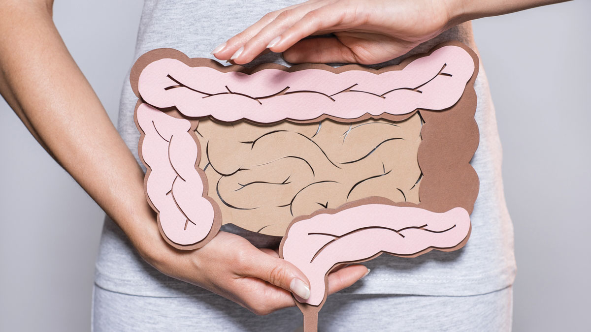 Microbioma-intestinale-un-secondo-cervello